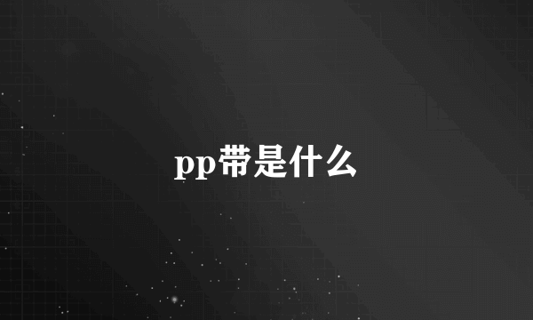 pp带是什么