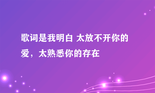 歌词是我明白 太放不开你的爱，太熟悉你的存在