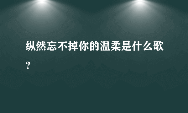 纵然忘不掉你的温柔是什么歌？