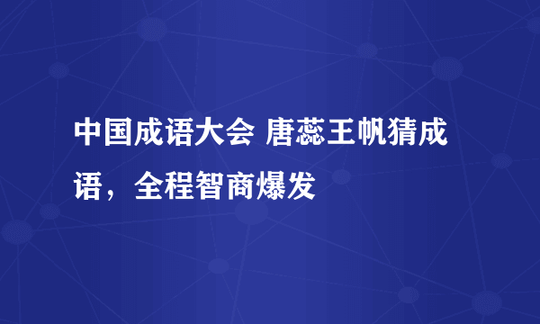 中国成语大会 唐蕊王帆猜成语，全程智商爆发