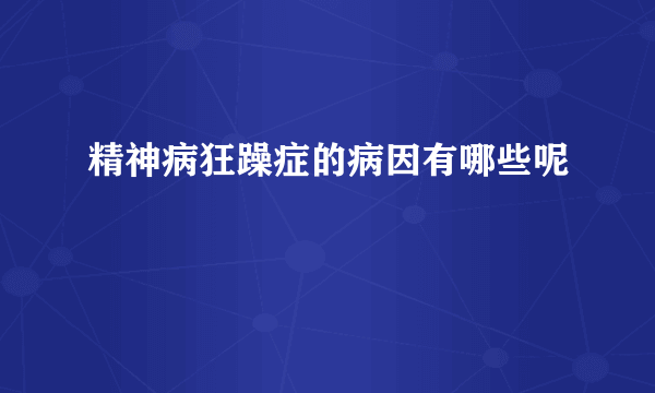 精神病狂躁症的病因有哪些呢