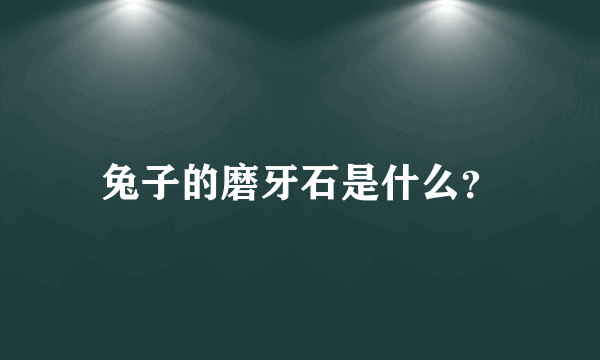 兔子的磨牙石是什么？