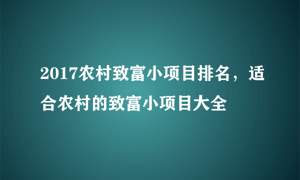 2017农村致富小项目排名，适合农村的致富小项目大全