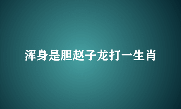 浑身是胆赵子龙打一生肖