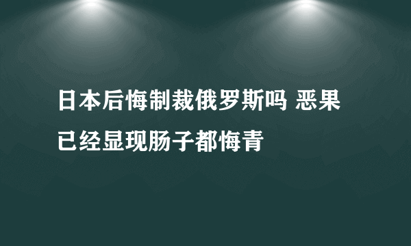 日本后悔制裁俄罗斯吗 恶果已经显现肠子都悔青