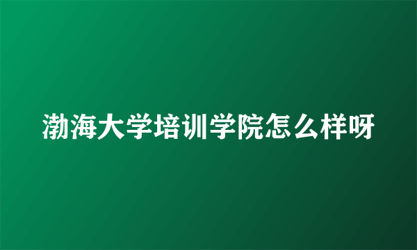 渤海大学培训学院怎么样呀