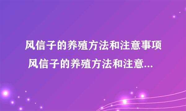 风信子的养殖方法和注意事项 风信子的养殖方法和注意事项有哪些