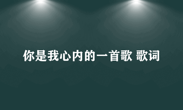 你是我心内的一首歌 歌词