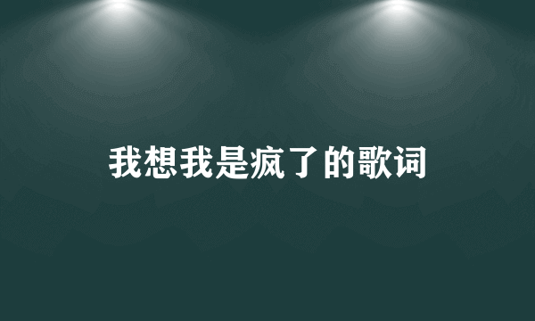 我想我是疯了的歌词