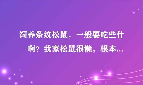 饲养条纹松鼠，一般要吃些什麼啊？我家松鼠很懒，根本就没有像百科里面讲的起的很早，不过，倒是很活泼！