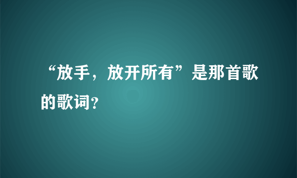 “放手，放开所有”是那首歌的歌词？