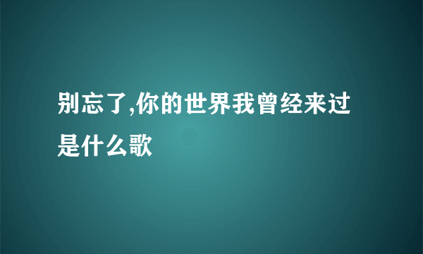 别忘了,你的世界我曾经来过是什么歌