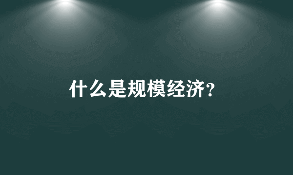 什么是规模经济？