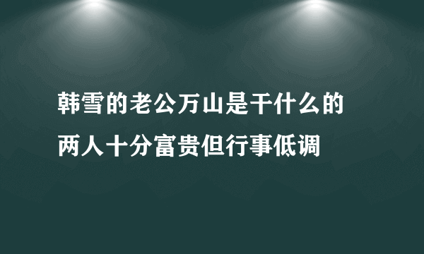 韩雪的老公万山是干什么的 两人十分富贵但行事低调