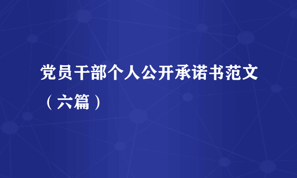 党员干部个人公开承诺书范文（六篇）