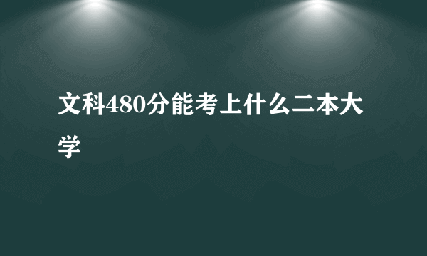 文科480分能考上什么二本大学