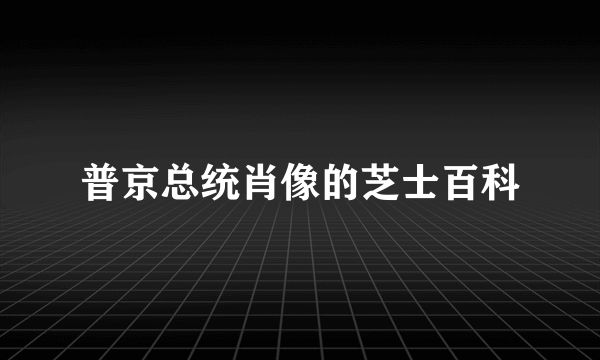 普京总统肖像的芝士百科