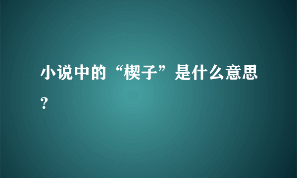 小说中的“楔子”是什么意思？