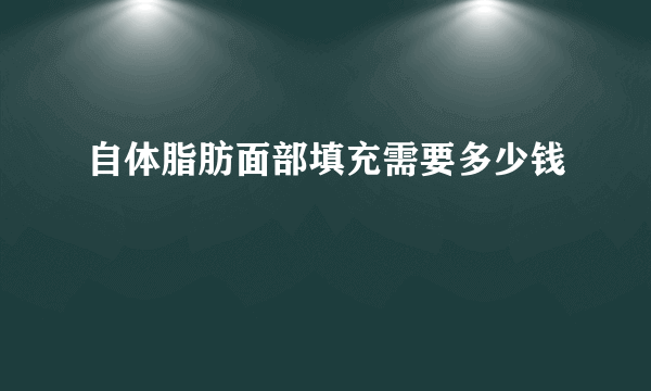 自体脂肪面部填充需要多少钱