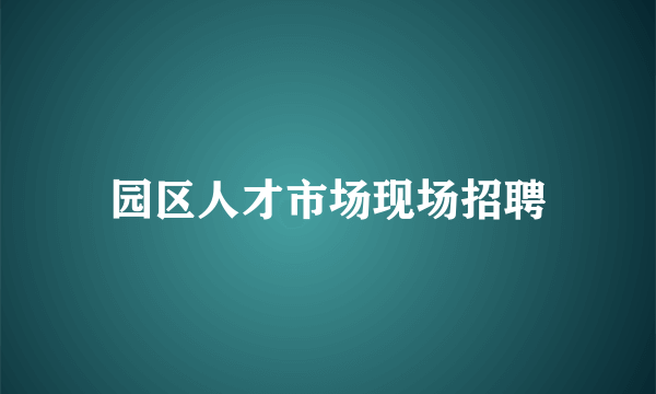 园区人才市场现场招聘