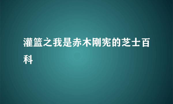 灌篮之我是赤木刚宪的芝士百科