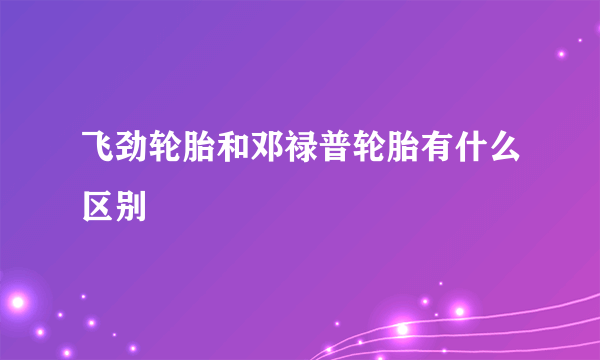 飞劲轮胎和邓禄普轮胎有什么区别