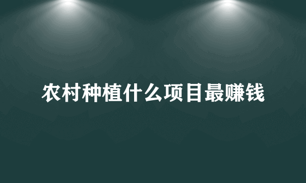 农村种植什么项目最赚钱