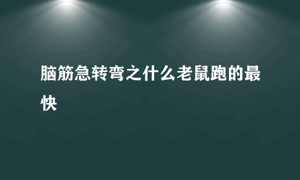 脑筋急转弯之什么老鼠跑的最快