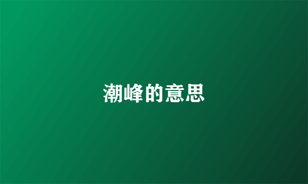 潮峰的意思