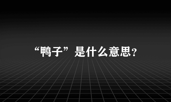 “鸭子”是什么意思？