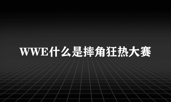 WWE什么是摔角狂热大赛