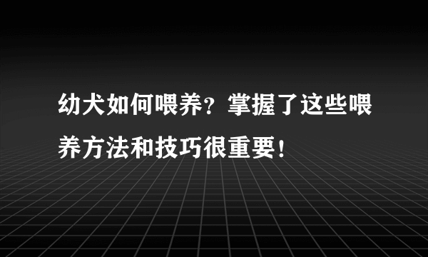 幼犬如何喂养？掌握了这些喂养方法和技巧很重要！