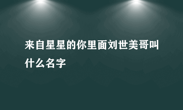 来自星星的你里面刘世美哥叫什么名字