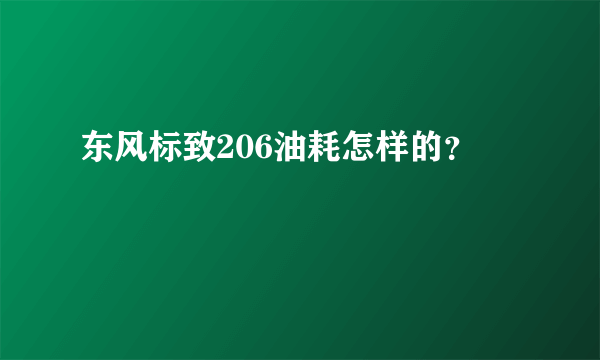 东风标致206油耗怎样的？