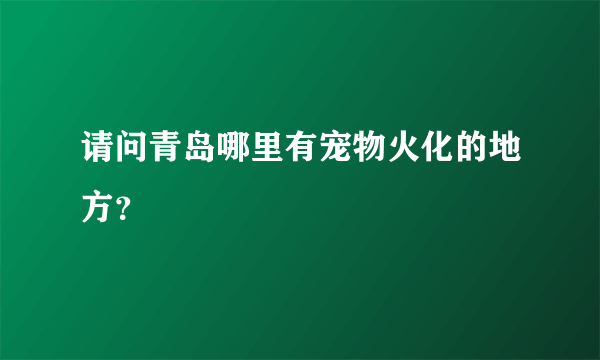 请问青岛哪里有宠物火化的地方？