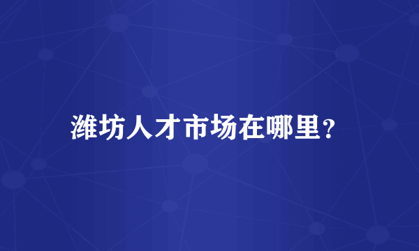 潍坊人才市场在哪里？