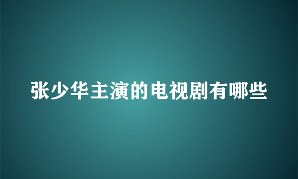 张少华主演的电视剧有哪些