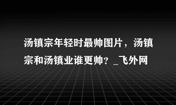 汤镇宗年轻时最帅图片，汤镇宗和汤镇业谁更帅？_飞外网