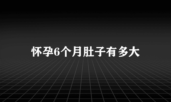 怀孕6个月肚子有多大