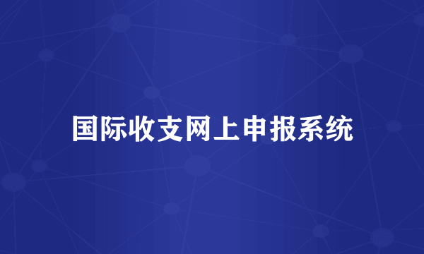 国际收支网上申报系统