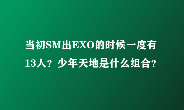 当初SM出EXO的时候一度有13人？少年天地是什么组合？