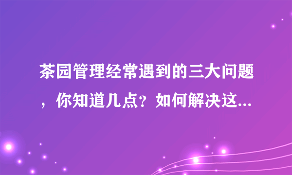 茶园管理经常遇到的三大问题，你知道几点？如何解决这三大问题？