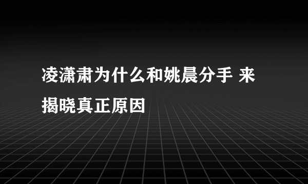 凌潇肃为什么和姚晨分手 来揭晓真正原因