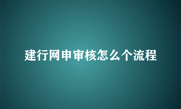 建行网申审核怎么个流程