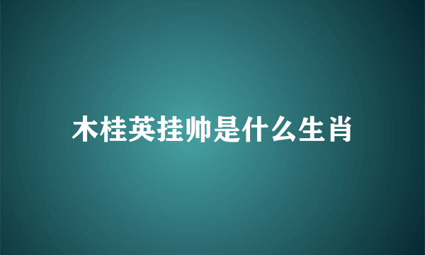 木桂英挂帅是什么生肖