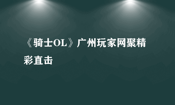 《骑士OL》广州玩家网聚精彩直击