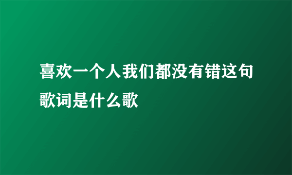 喜欢一个人我们都没有错这句歌词是什么歌