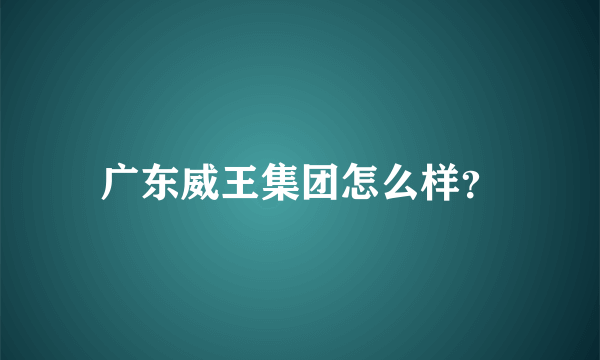 广东威王集团怎么样？