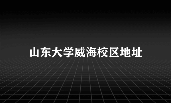 山东大学威海校区地址