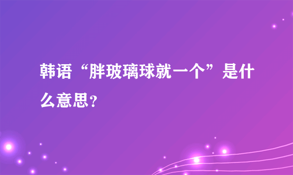 韩语“胖玻璃球就一个”是什么意思？